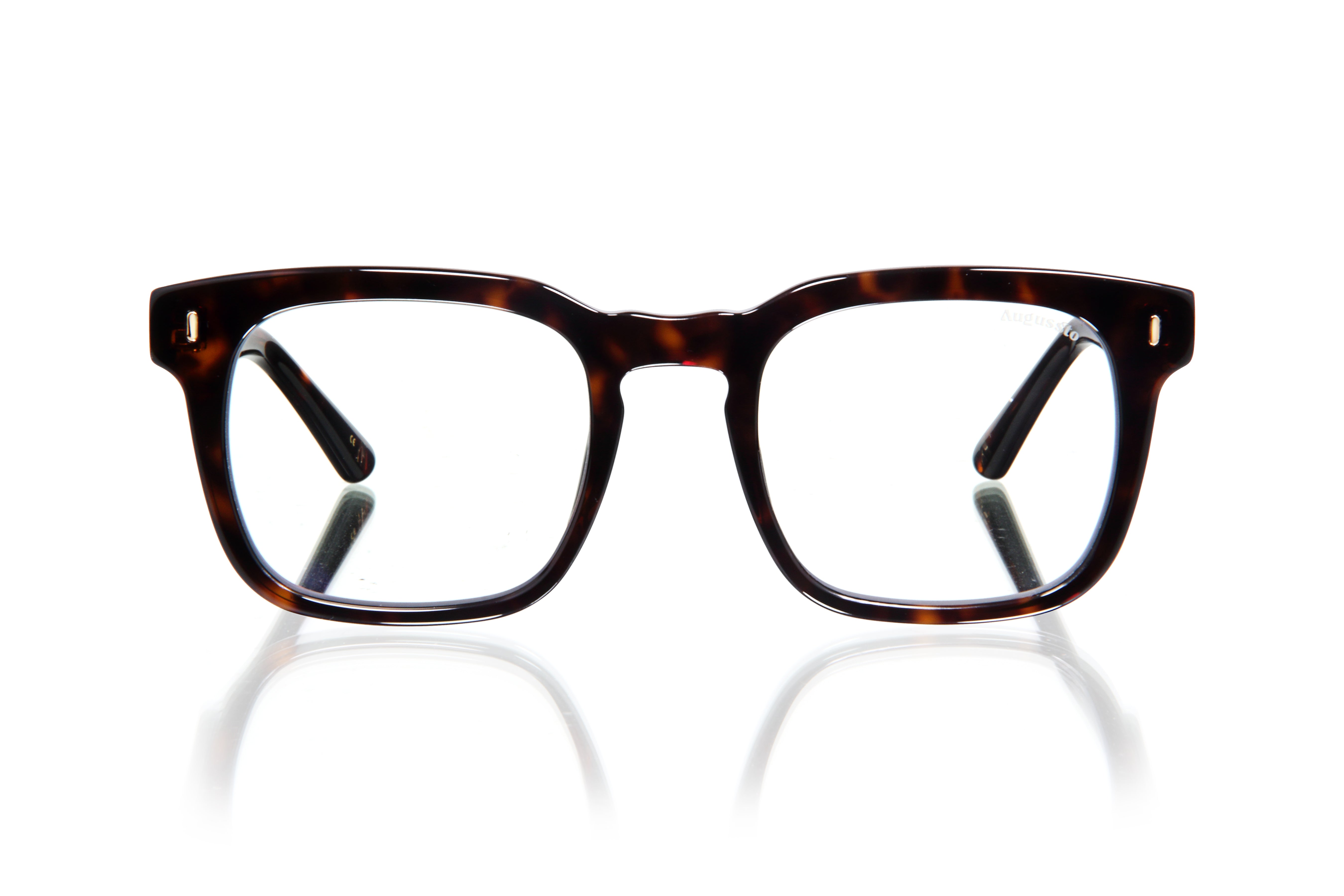 MAXIMUS BROWN HAVANA CG