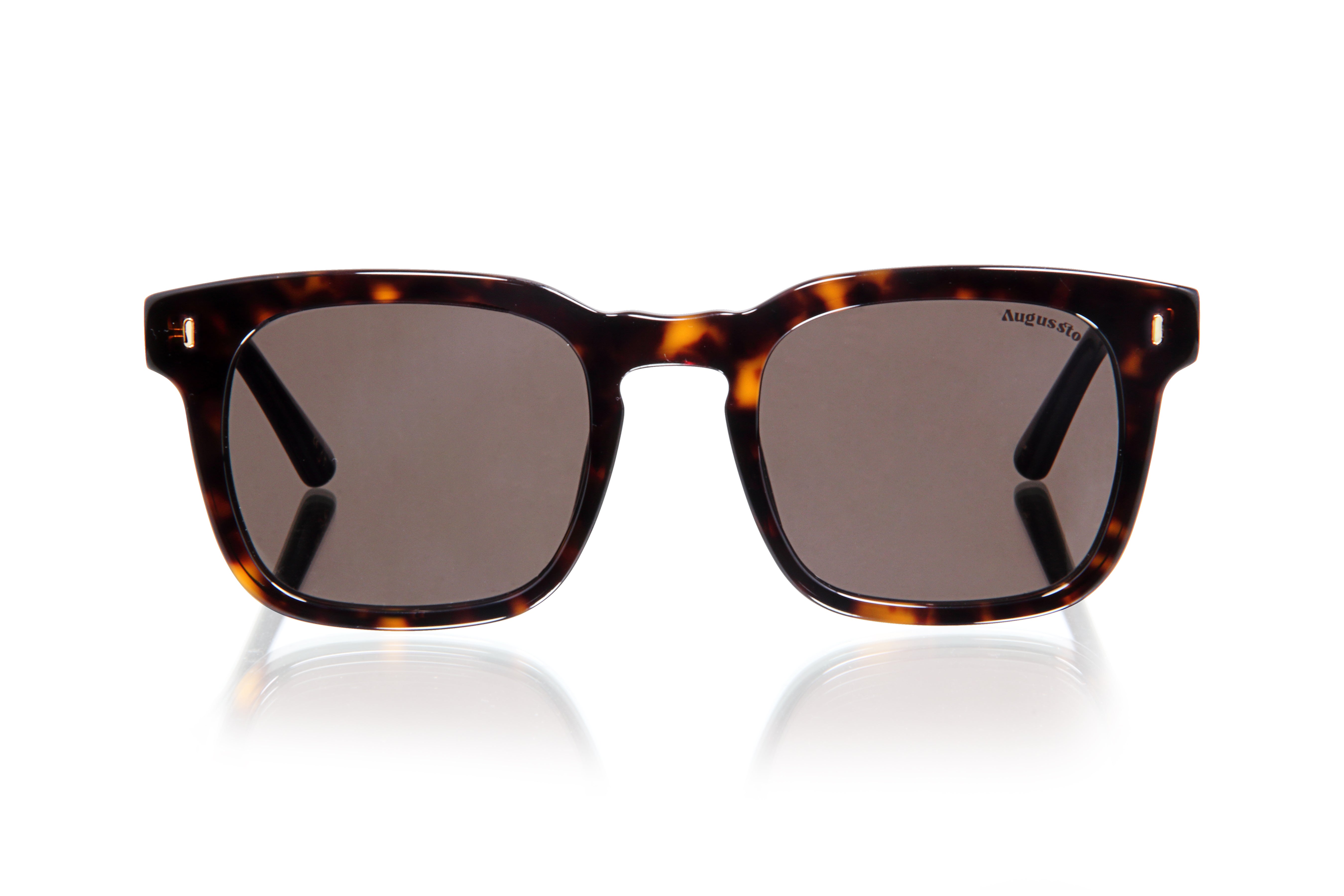 MAXIMUS BROWN HAVANA