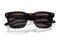 MAXIMUS BROWN HAVANA
